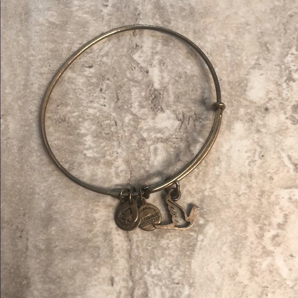Alex and Ani bracelet